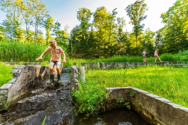National Heritage Site Waterloopbos